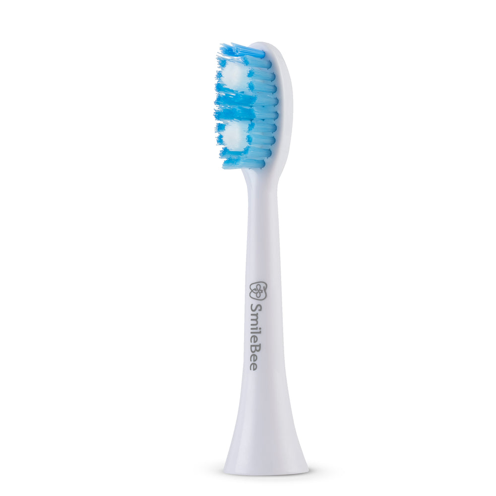 Daily Toothbrush Head